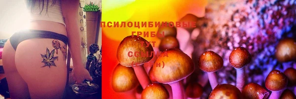 mix Богданович