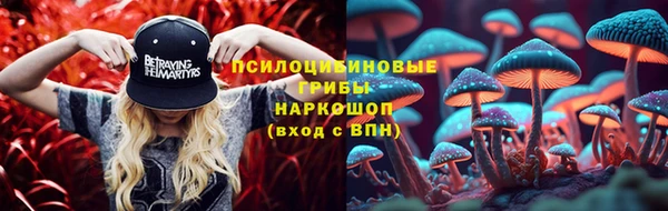марки nbome Богородицк