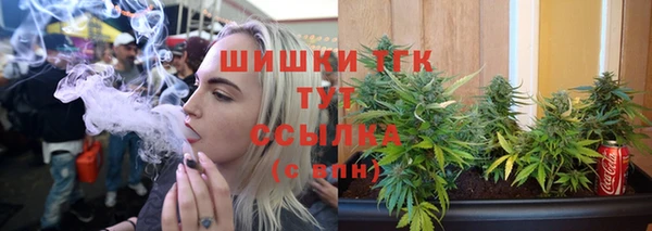 ПСИЛОЦИБИНОВЫЕ ГРИБЫ Тутаев